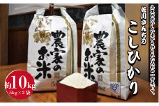 佐川さんちのこしひかり米 10Kg【令和6年度産】