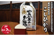 佐川さんちのこしひかり米 5Kg【令和6年度産】
