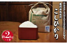 佐川さんちのこしひかり米　2Kg【令和6年度産】