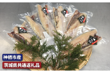 大トロさば文化干し　6枚（茨城県共通返礼品・神栖市産）