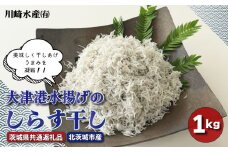 大津港水揚げのしらす干し １kg（茨城県共通返礼品・北茨城市産）