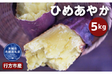 さつまいも「ひめあやか」5kg（茨城県共通返礼品・行方市産）