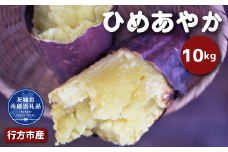 さつまいも「ひめあやか」10kg（茨城県共通返礼品・行方市産）