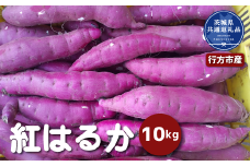さつまいも「紅はるか」10kg（茨城県共通返礼品・行方市産）