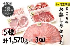【3ヶ月定期便】まごころ豚　お楽しみセット（茨城県共通返礼品・鉾田市産）