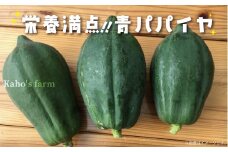青パパイヤ