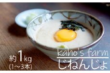 自然薯 約1kg