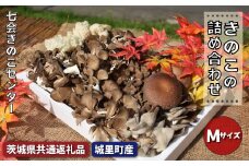 きのこの詰め合わせ　Mサイズ（茨城県共通返礼品・城里町産）