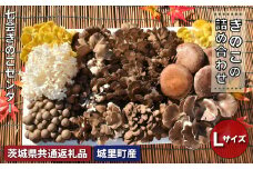 きのこの詰め合わせ Ｌサイズ（茨城県共通返礼品・城里町産）