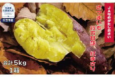 【先行予約】さつまいも　行方甘藷　紅まさり　5kg（茨城県共通返礼品・行方市産）