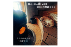 コアミガメ　サウナ・宿泊クーポン券10000円