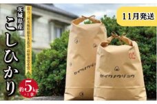 【令和7年度】茨城県産 コシヒカリ ５ｋｇ(11月発送)