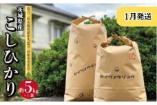 【令和7年度】茨城県産 コシヒカリ ５ｋｇ(1月発送)