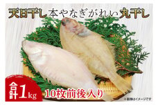 天日干 本やなぎがれい干 1kg（AI204）