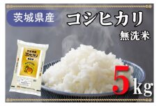 AL007　無洗米！茨城県産コシヒカリ５ｋｇ！令和5年産米！