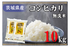 AL008　無洗米！茨城県産コシヒカリ１０ｋｇ！令和5年産米！