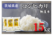 AL009　無洗米！茨城県産コシヒカリ１５ｋｇ！令和5年産米！