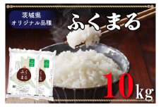 AL011　令和5年産米！際立つ粒の大きさ！ふくまる （10kg）