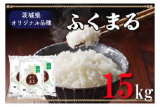 AL012　令和5年産米！際立つ粒の大きさ！ふくまる  １５ｋｇ