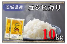 AL014　令和5年産米！茨城県産コシヒカリ（10kg）