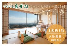 客室から太平洋が一望できる！公共の宿マウントあかね【1名様1泊2食ご宿泊券】★和室8畳　趣膳★(AB101)