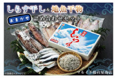 しらす干し＆地魚干物おまかせ詰め合わせセット（AJ201）
