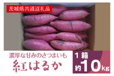濃厚な甘みさつまいも 紅はるか10kg（茨城県共通返礼品・行方市産）(AK202)
