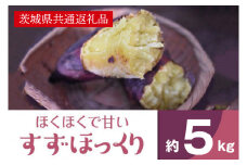 ホクホクで甘いさつまいも すずほっくり5kg（茨城県共通返礼品・行方市産）さつまいもイモ芋(AK205)