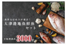 【先行予約】飲食店『食彩太信』店主が選ぶ！大津港地魚鮮魚セット　下処理済み【賞味期限：到着後、冷蔵保存で3日間】(AA205)