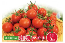 【先行予約】珊瑚トマト　3kg【野菜 トマト とまと ミニトマト みにとまと フルーツトマト 新鮮 リコピン ビタミン】（AX201）