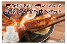 雨情の里牛・ローズポーク餃子セット【国産 ブランド牛 ぎょうざ ギョウザ 食べ比べ】(BL208)