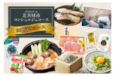 【提案型】コンシェルジュコース（90万円）(BM105)