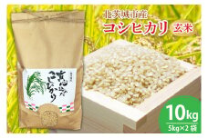 【先行予約】【令和６年産】【数量限定】新米　コシヒカリ玄米10kg(BN001-1)