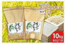 【先行予約】【令和６年産】【数量限定】新米　コシヒカリ精米5kg・玄米5kgセット(BN003-1)
