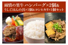 BX002　雨情の里牛ハンバーグ・うしごはんの具・コシヒカリのセット