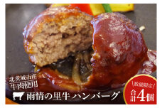 BX001　雨情の里牛ハンバーグ　4個