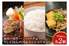 BX004　雨情の里牛ハンバーグ・うしごはんの具・コシヒカリのセット