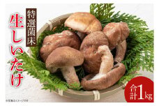 特選菌床生しいたけ1kg【椎茸 シイタケ 肉厚 無農薬】(CE202)