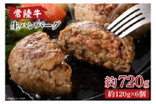 常陸牛生ハンバーグ　120g×6【ひたちぎゅう お肉 焼くだけ ジュージー】(AA216)