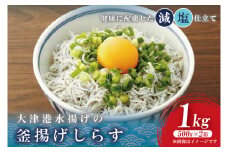 大津港水揚げの釜揚げしらす　1kg(500g×２箱) (AS209)