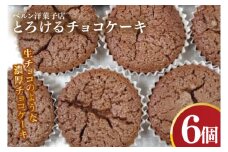 とろけるチョコケーキ【チョコレート 生チョコ 濃厚 おやつ プレゼント】(CK203)