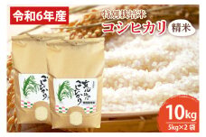 【先行予約】【令和６年産】【数量限定】新米　コシヒカリ精米10kg  特別栽培米(BN005)