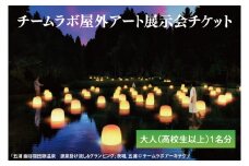 チームラボ屋外アート展示会チケット大人（高校生以上）1名分(CJ105)
