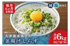 大津港水揚げの釜揚げしらす＜6ヶ月定期便＞＜毎月＞　1kg×6回【海鮮 魚介類 しらす シラス ご飯のお供 たっぷり お手頃 個包装】(AS212)