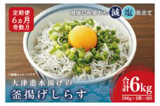 大津港水揚げの釜揚げしらす＜6ヶ月定期便＞＜2ヶ月に１回奇数月発送＞　1kg×6回【海鮮 魚介類 しらす シラス ご飯のお供 たっぷり お手頃 個包装】(AS213)