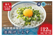 大津港水揚げの釜揚げしらす＜12ヶ月定期便＞＜毎月＞　1kg×12回【海鮮 魚介類 しらす シラス ご飯のお供 たっぷり お手頃 個包装】(AS215)