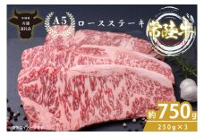 最高級A4.A5ランク 常陸牛ロースステーキ750ｇ（250g×3）【人気肉 お肉 牛肉 和牛 黒毛和牛 国産黒毛和牛 ロース肉 ステーキ 国産牛 焼肉 焼き肉 バーベキュー BBQ A5 ブランド牛】(CR102)