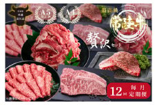 【12回定期便】最高級A4.A5ランク 常陸牛贅沢セット【人気肉 お肉 牛肉 和牛 黒毛和牛 国産黒毛和牛 ロース肉 ステーキ 国産牛 焼肉 焼き肉 バーベキュー BBQ A5 ブランド牛】（CR114）