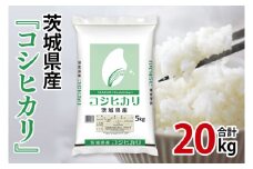 【期間限定】令和6年産 茨城県産 コシヒカリ20kg（5kg×4袋）【お米 　精米　コメ 米　こしひかり 家計に優しい】(AL041)