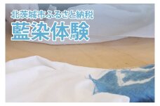 藍染体験(BQ101)